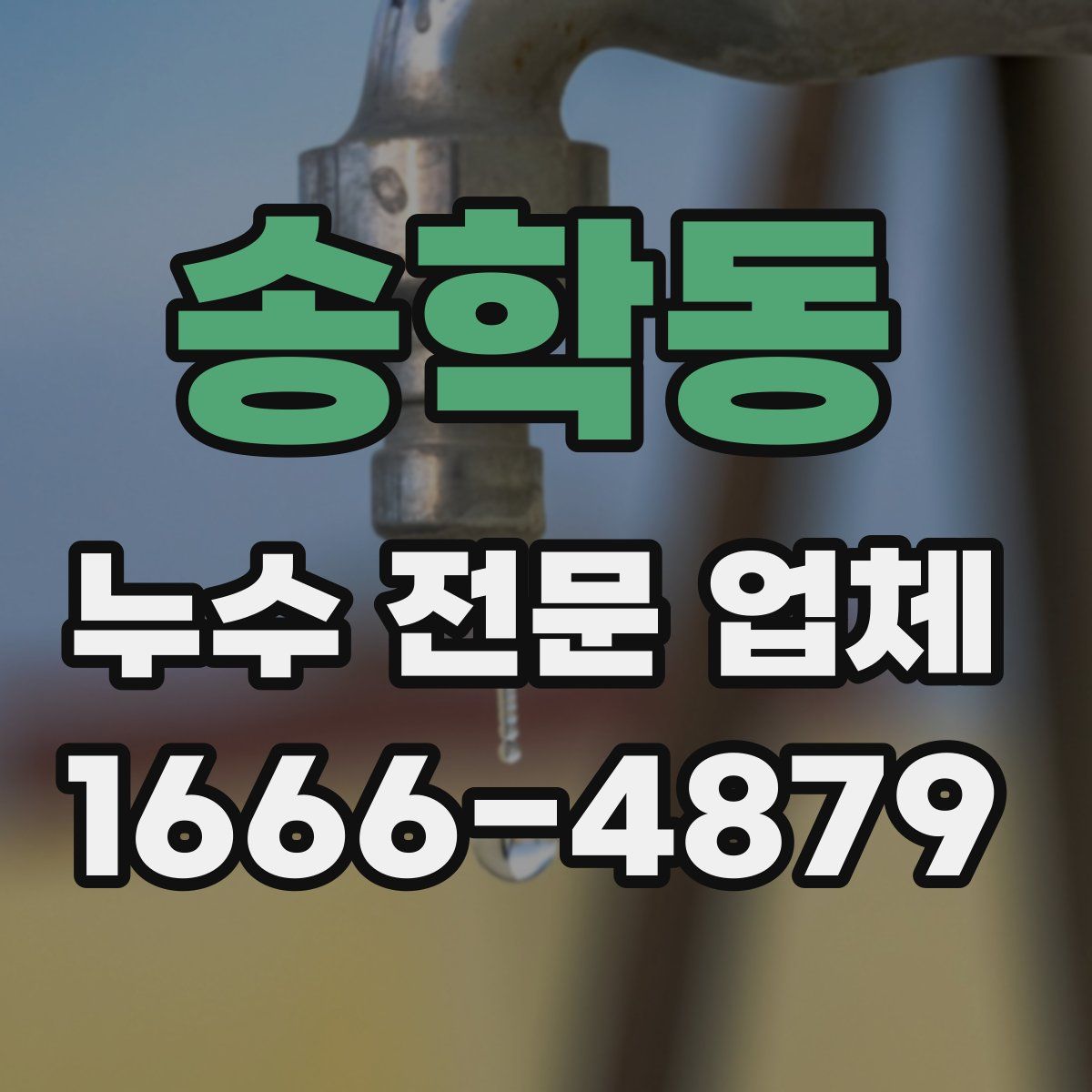 송학동 누수 전문 업체