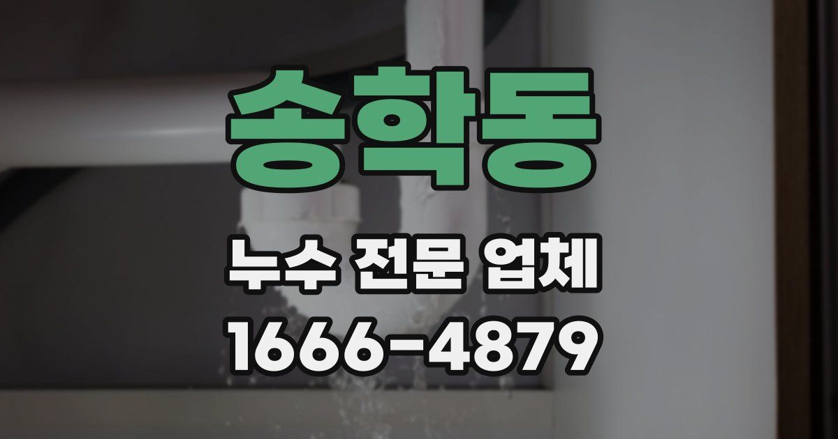 송학동 누수 전문 업체