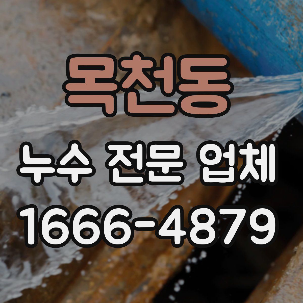 목천동 누수 전문 업체