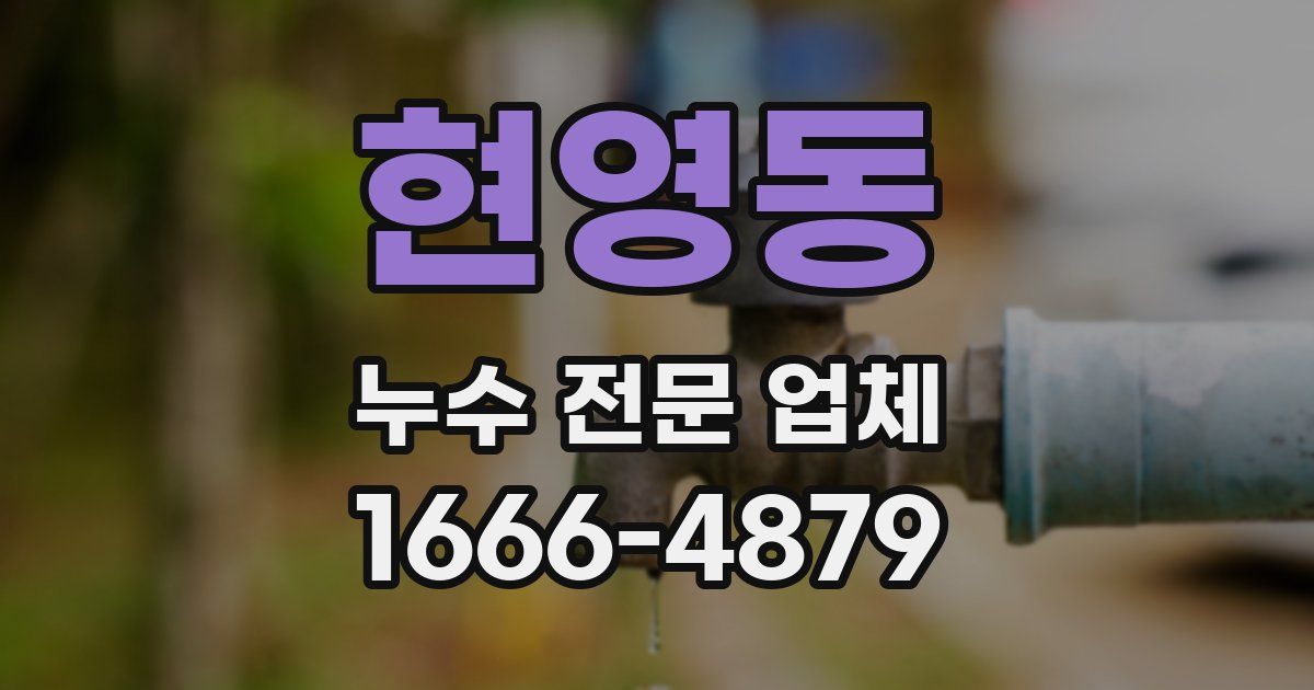 현영동 누수 전문 업체