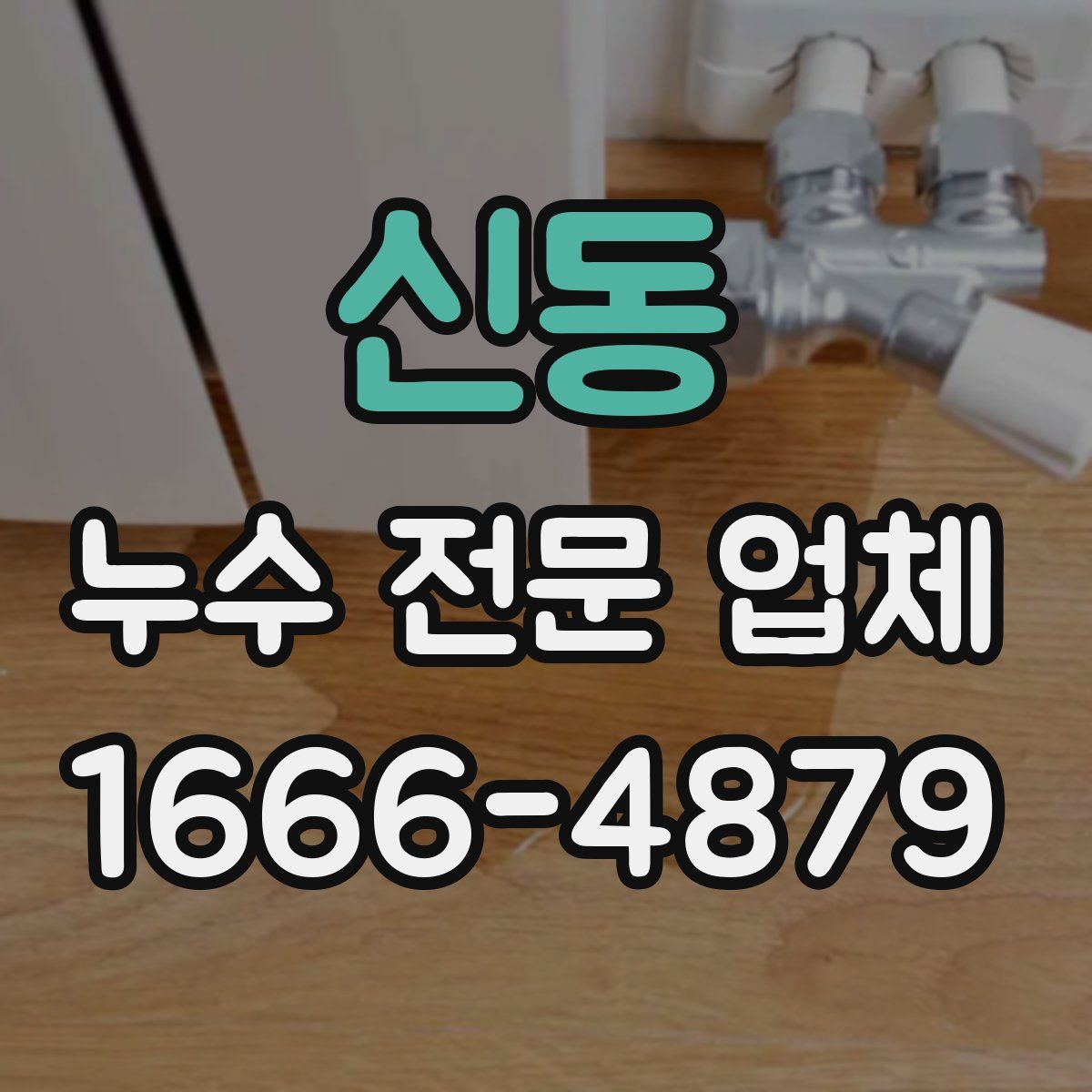 신동 누수 전문 업체