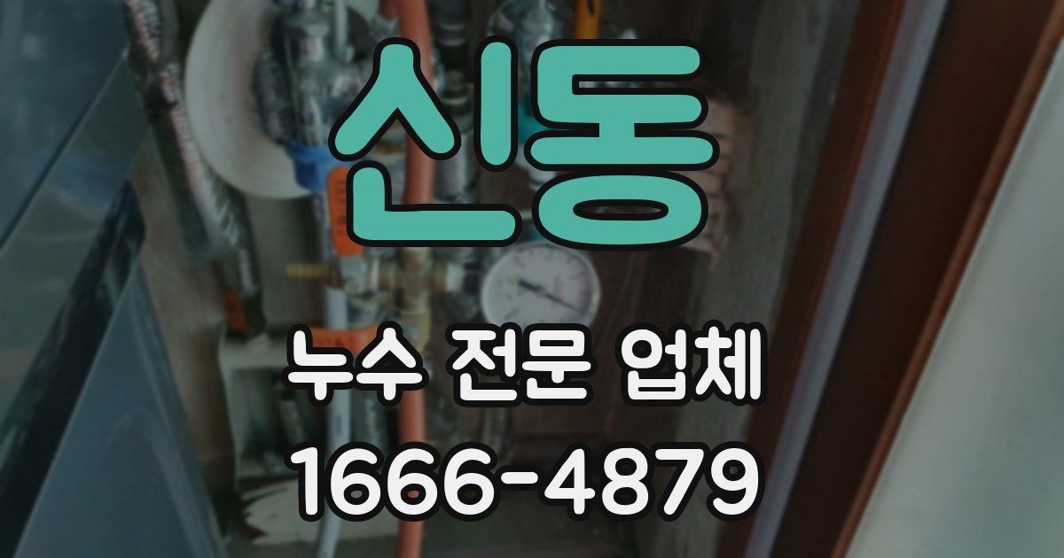 신동 누수 전문 업체