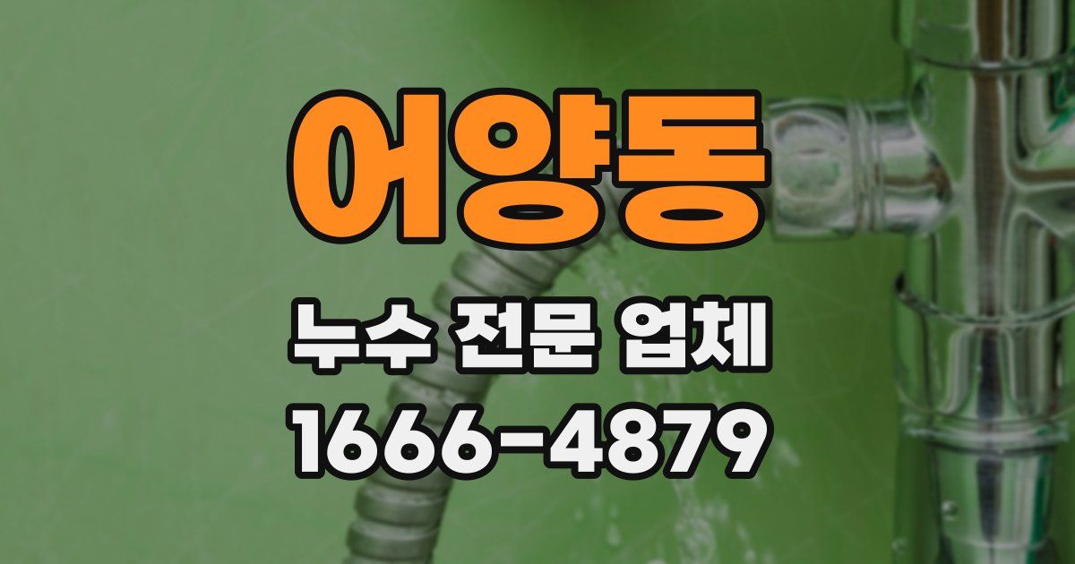 어양동 누수 전문 업체