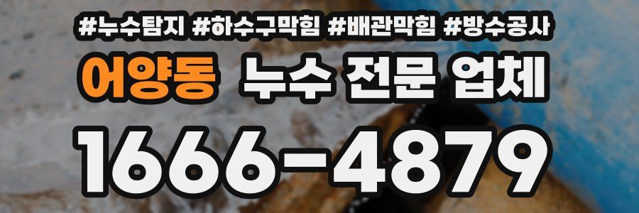 어양동 누수 전문 업체