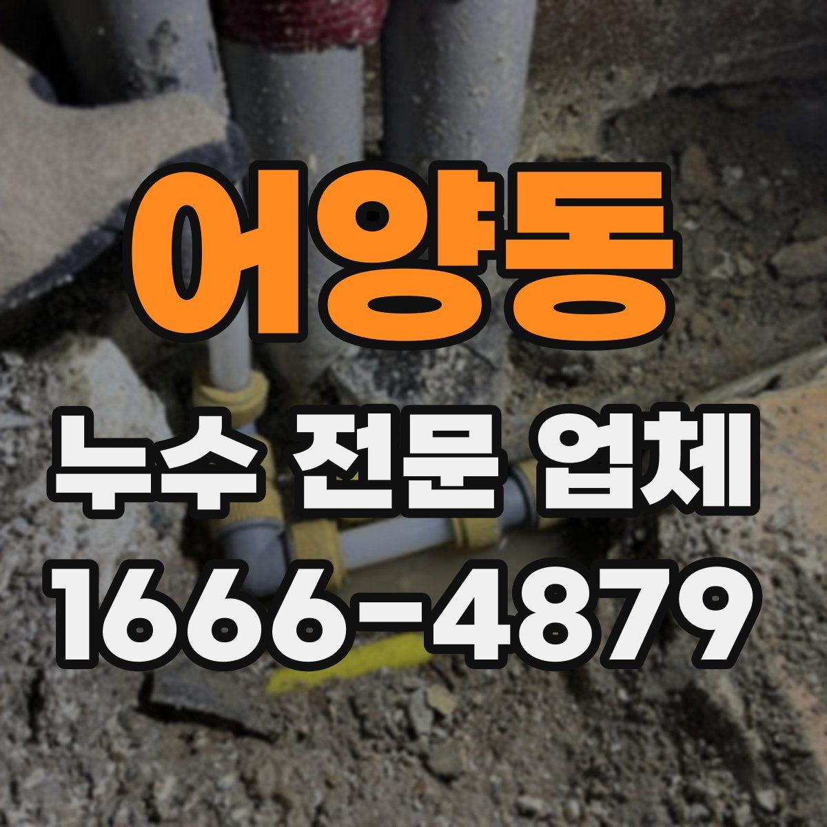 어양동 누수 전문 업체