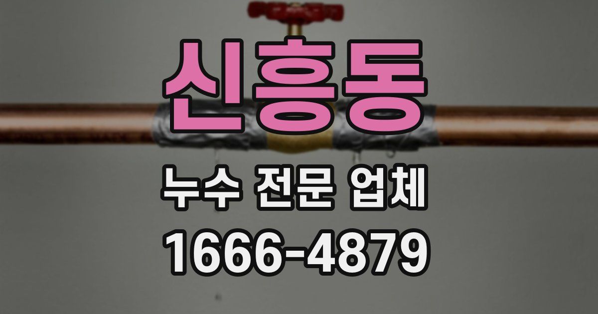 신흥동 누수 전문 업체