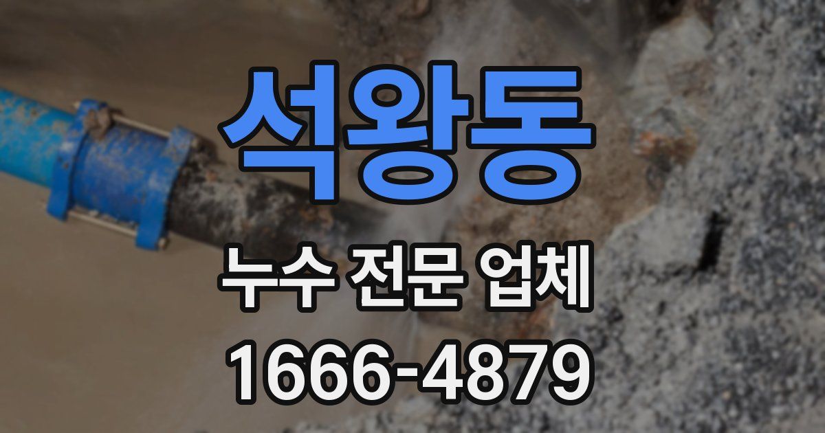 석왕동 누수 전문 업체