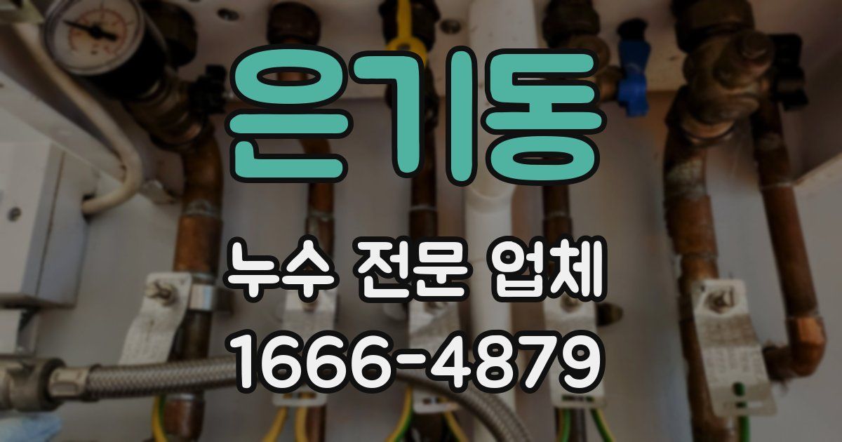 은기동 누수 전문 업체