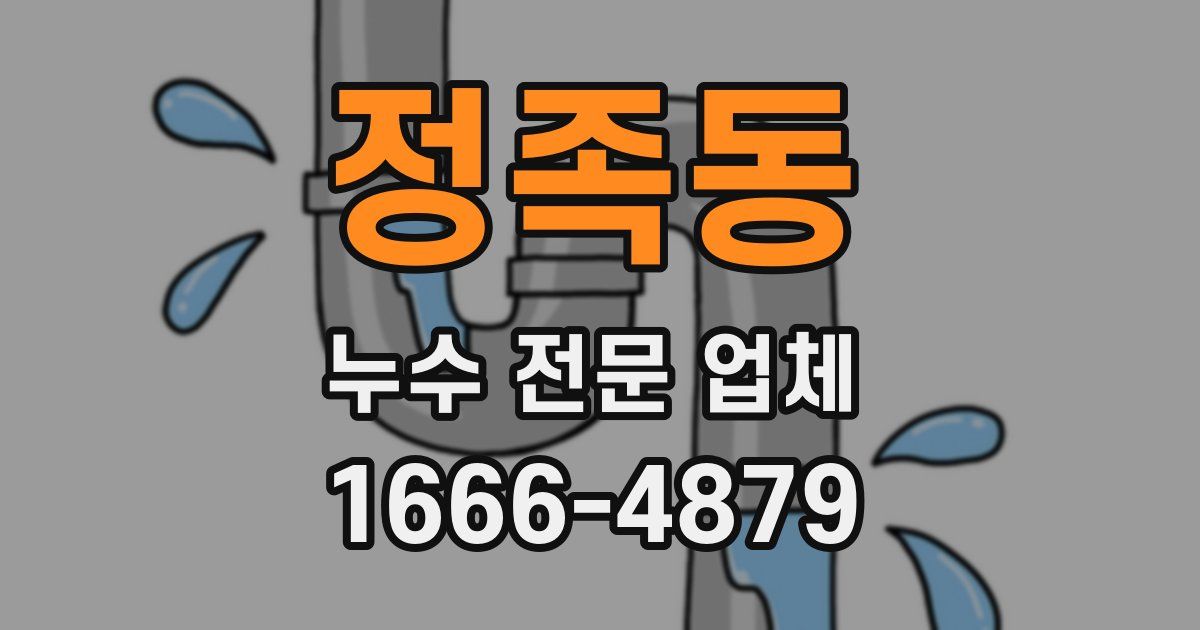 정족동 누수 전문 업체
