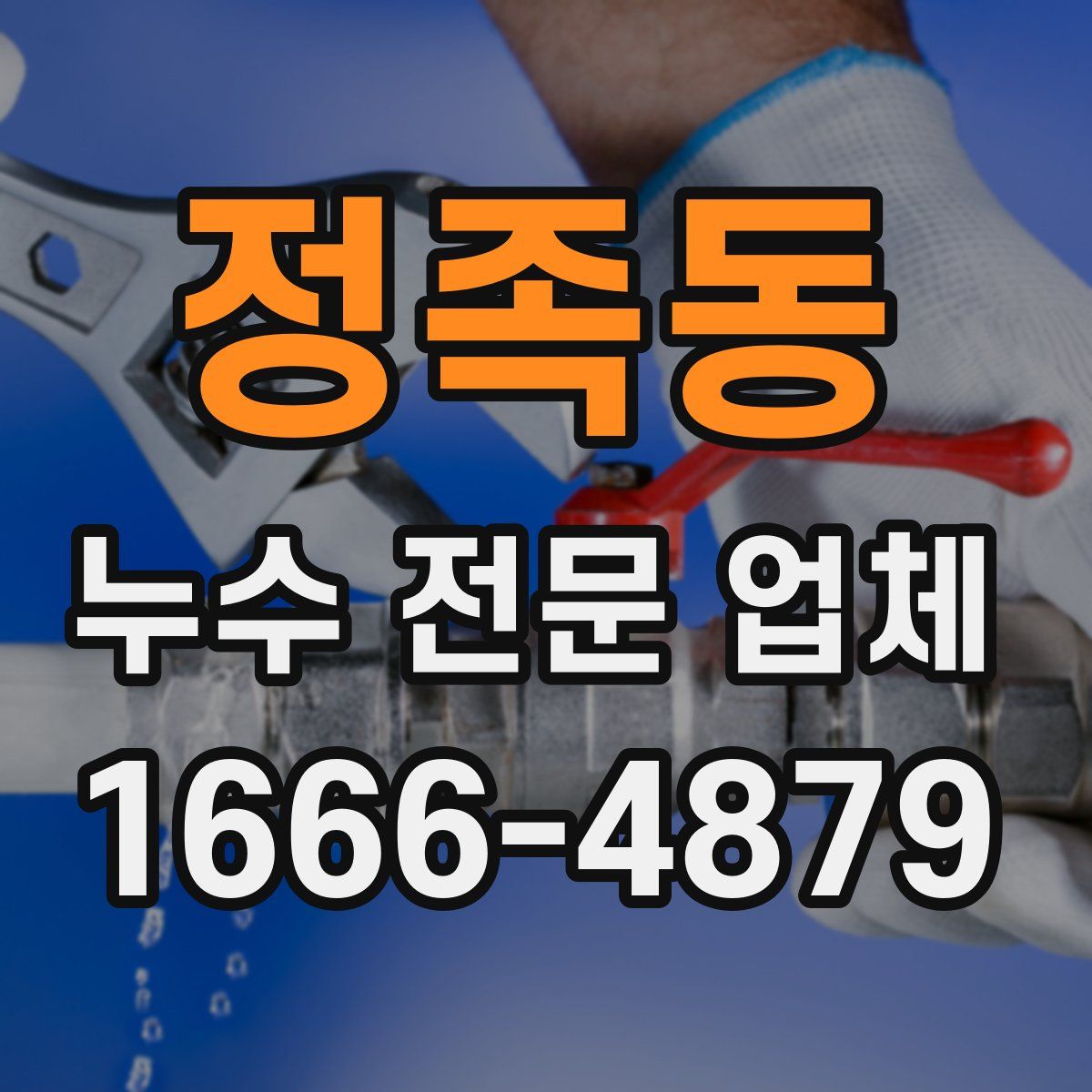 정족동 누수 전문 업체