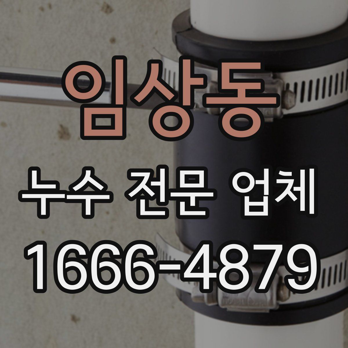 임상동 누수 전문 업체