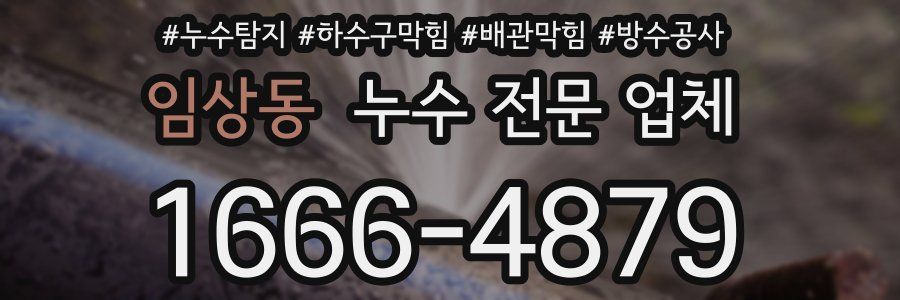 임상동 누수 전문 업체