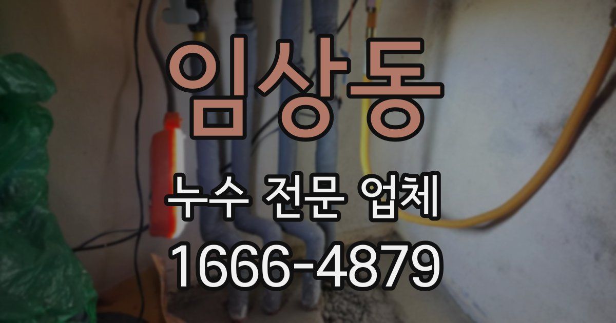 임상동 누수 전문 업체