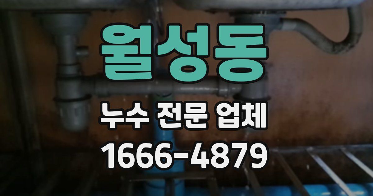 월성동 누수 전문 업체