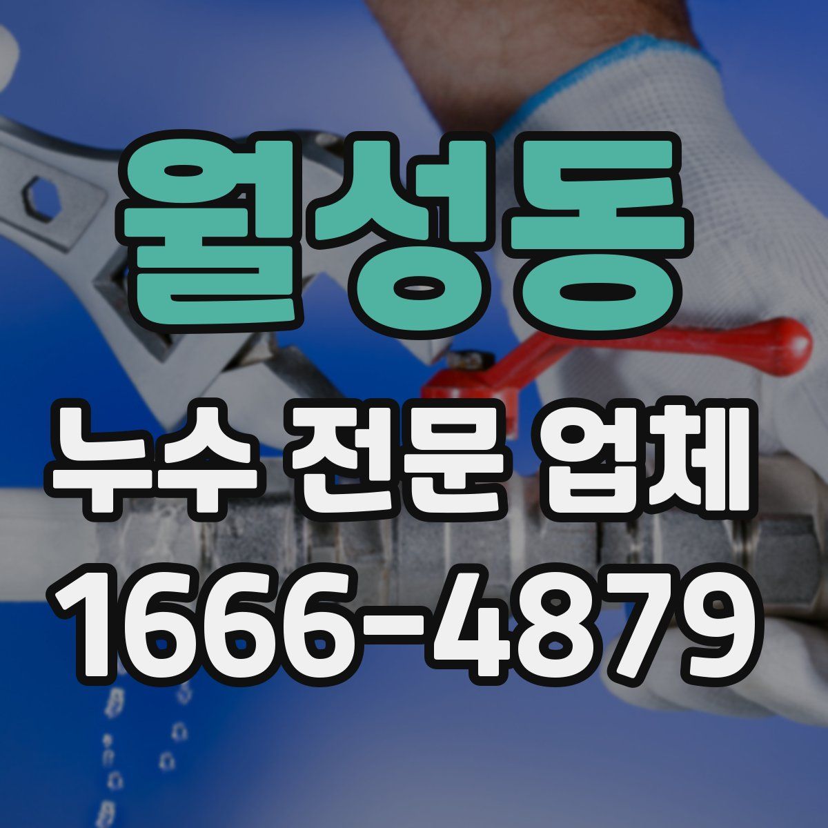 월성동 누수 전문 업체