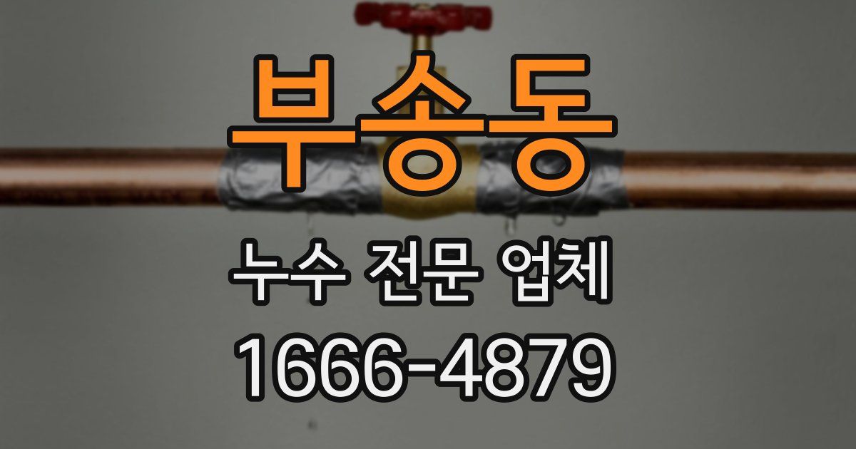 부송동 누수 전문 업체