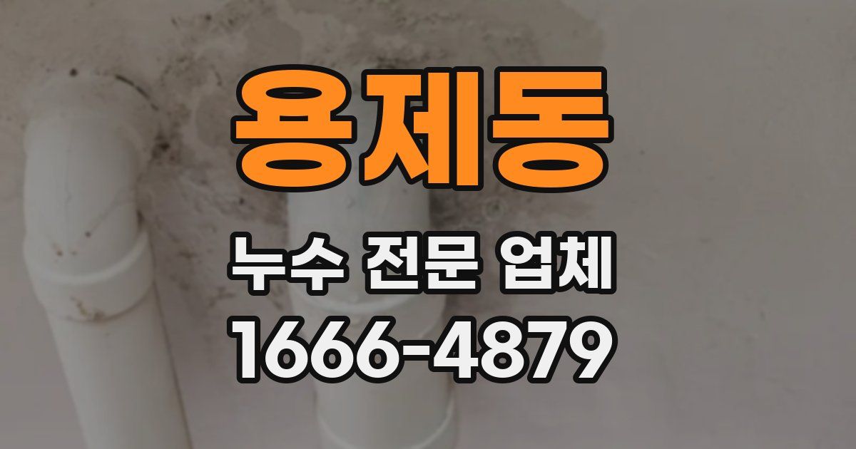 용제동 누수 전문 업체