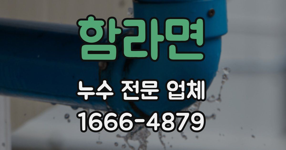 함라면 누수 전문 업체