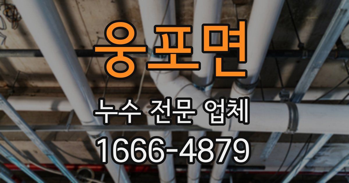웅포면 누수 전문 업체