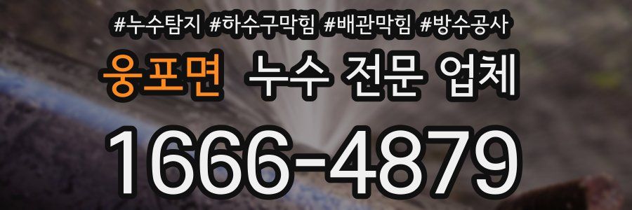 웅포면 누수 전문 업체