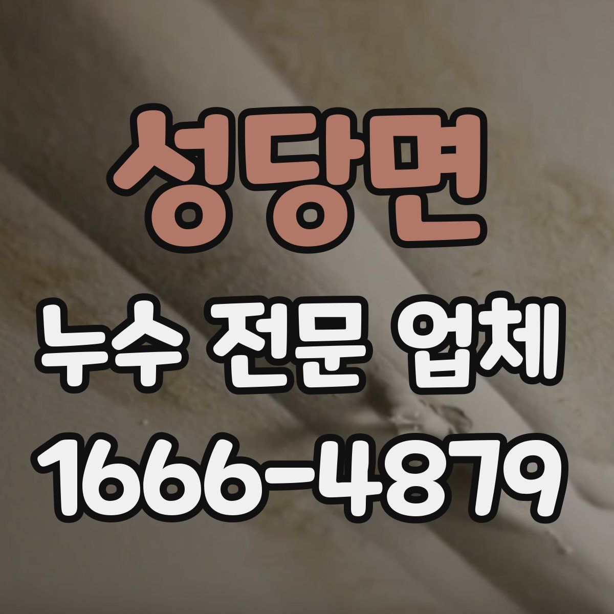 성당면 누수 전문 업체