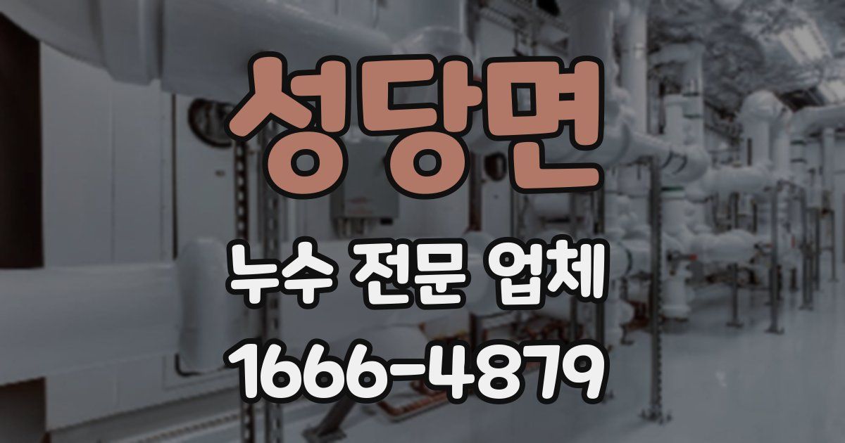 성당면 누수 전문 업체