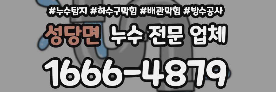 성당면 누수 전문 업체