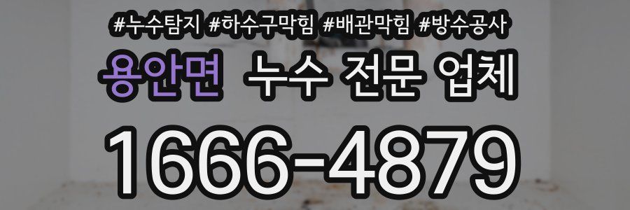 용안면 누수 전문 업체