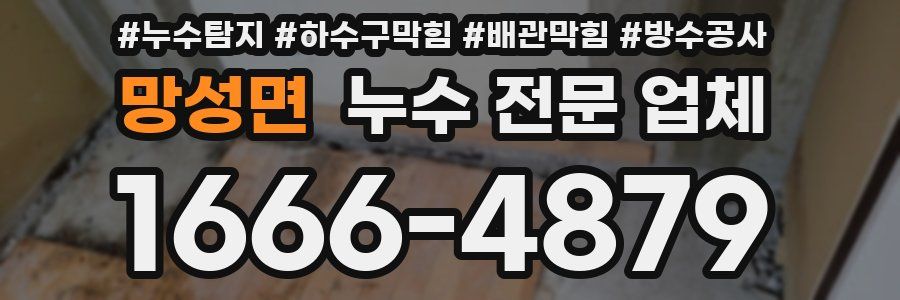 망성면 누수 전문 업체