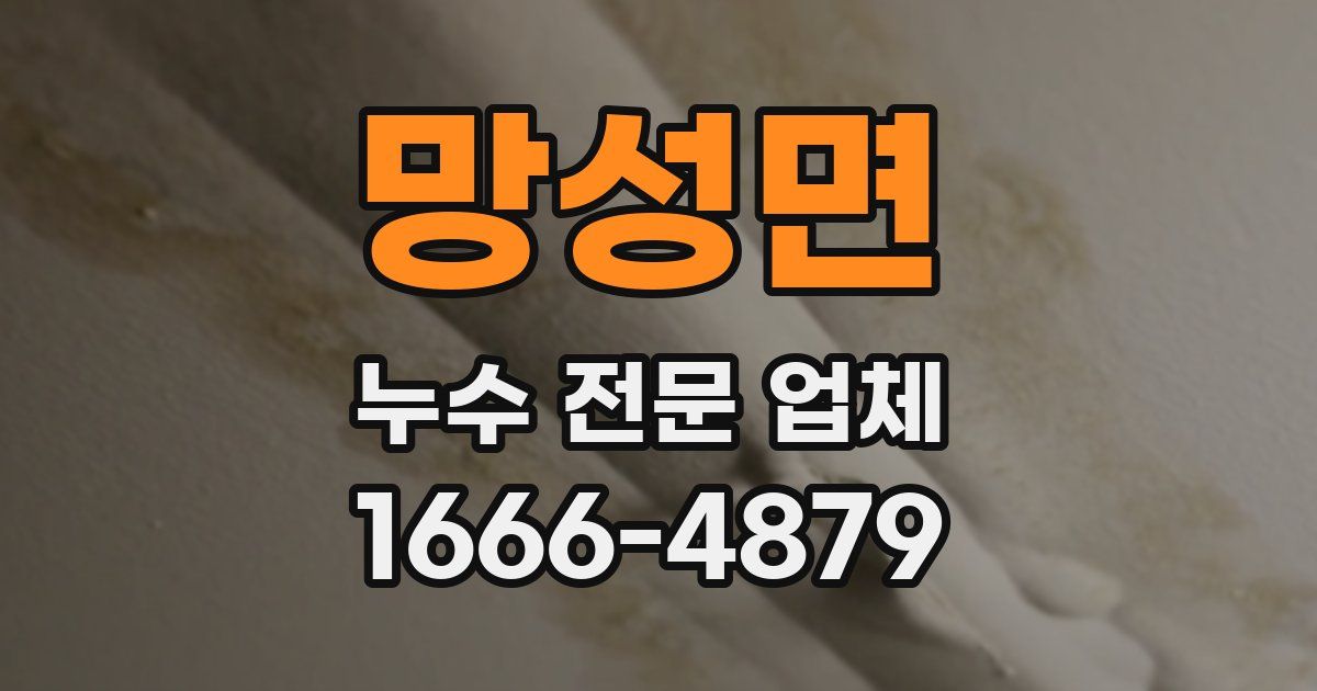 망성면 누수 전문 업체