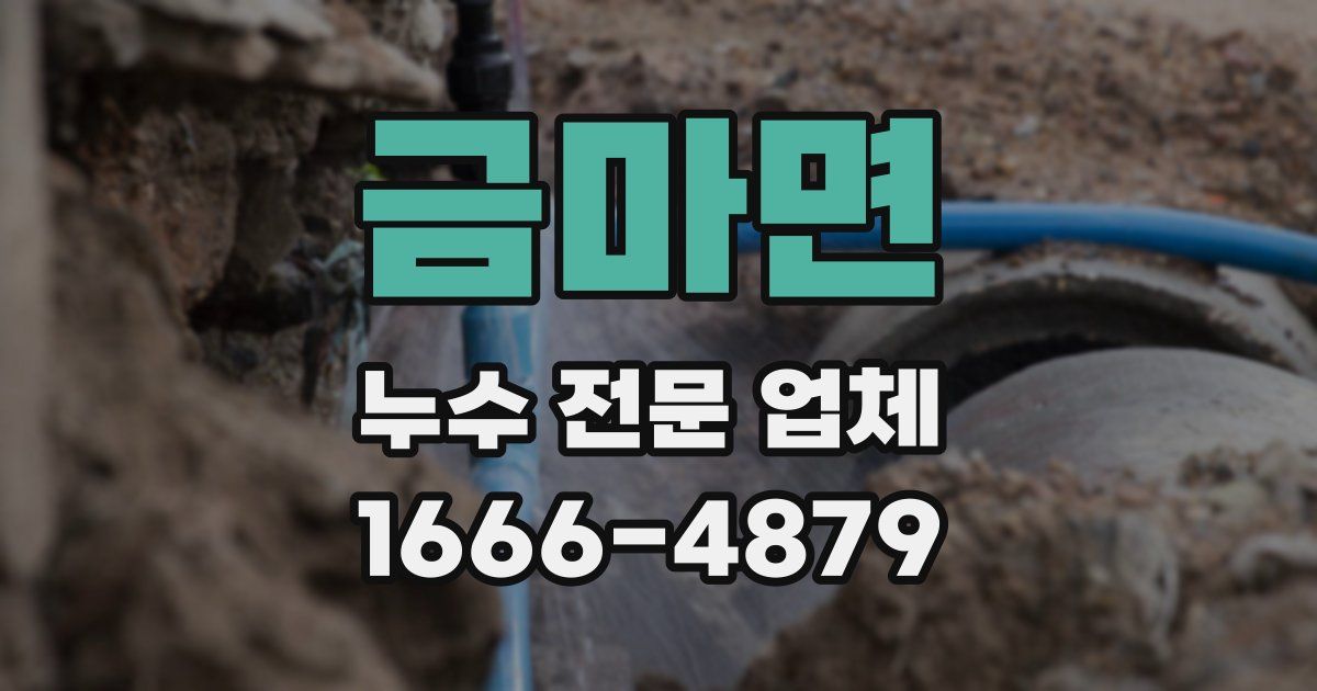 금마면 누수 전문 업체