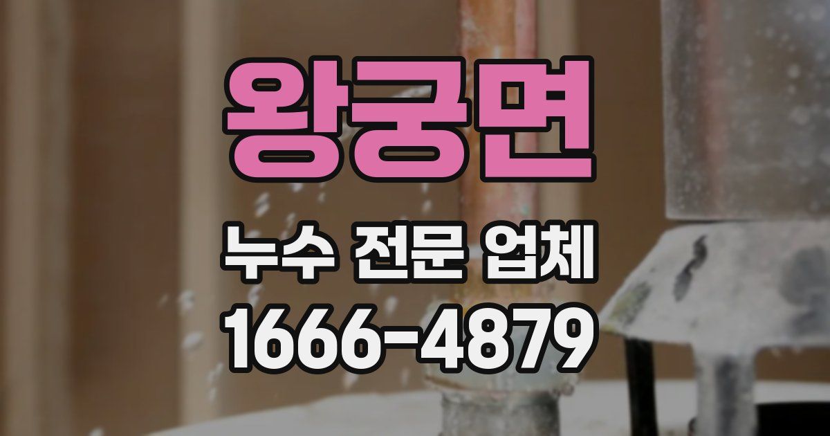 왕궁면 누수 전문 업체