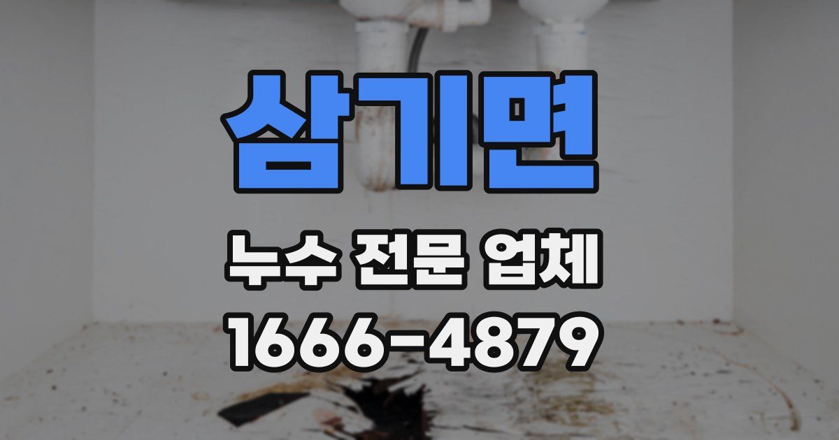 삼기면 누수 전문 업체