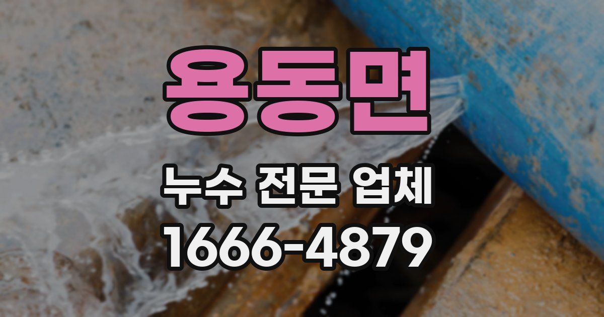 용동면 누수 전문 업체