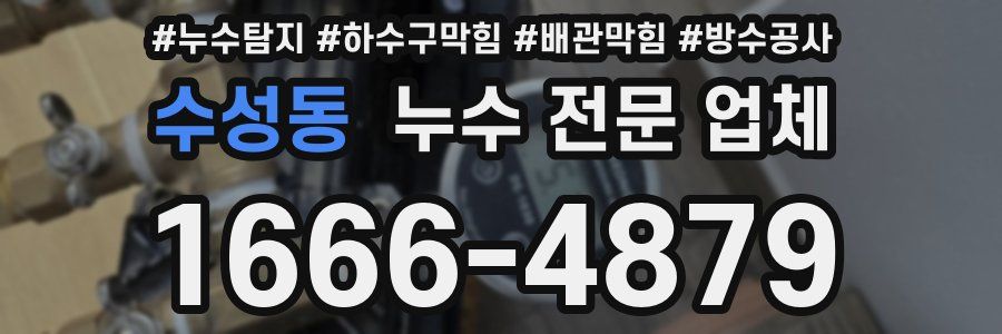 수성동 누수 전문 업체