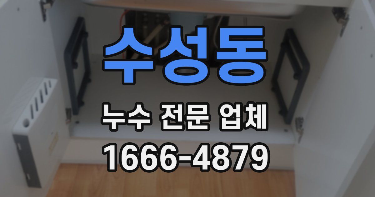 수성동 누수 전문 업체