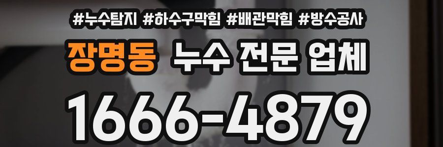 장명동 누수 전문 업체