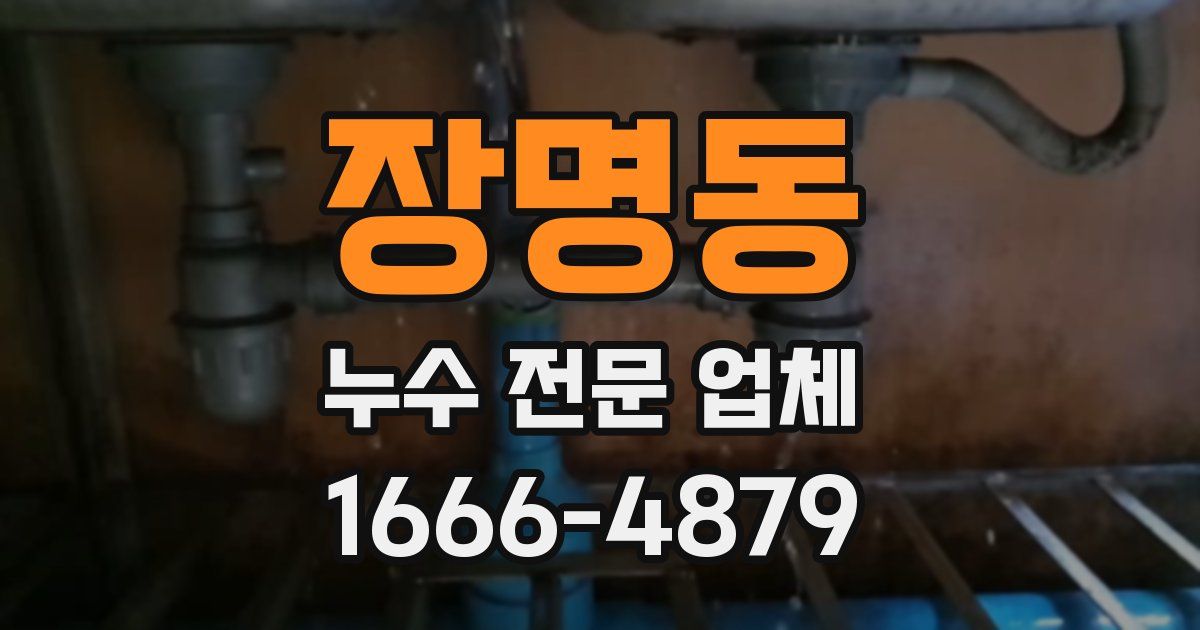 장명동 누수 전문 업체