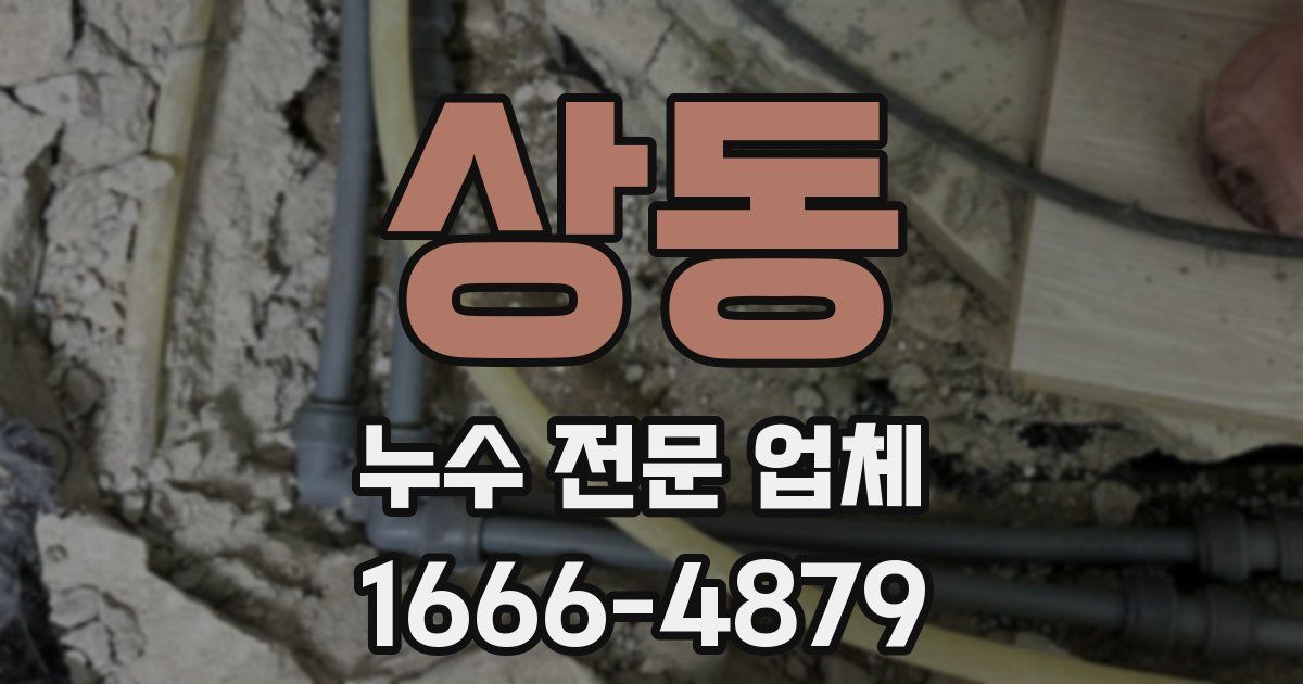 상동 누수 전문 업체