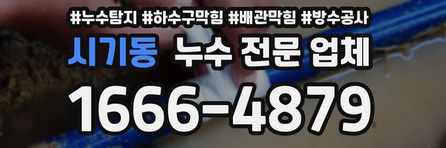 시기동 누수 전문 업체