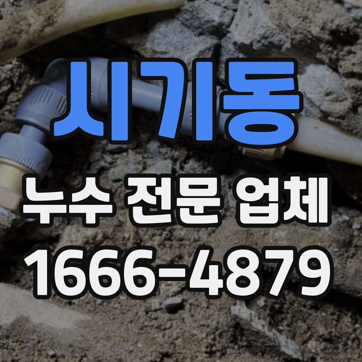 시기동 누수 전문 업체