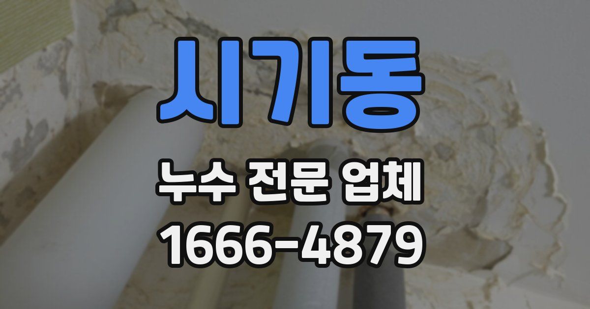 시기동 누수 전문 업체