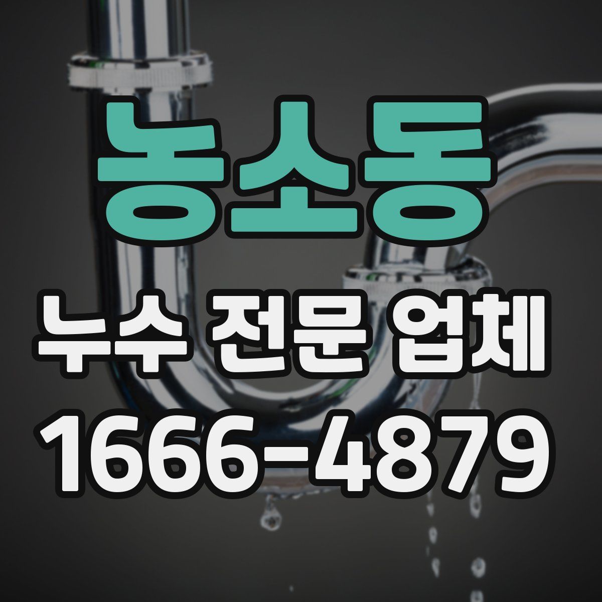 농소동 누수 전문 업체
