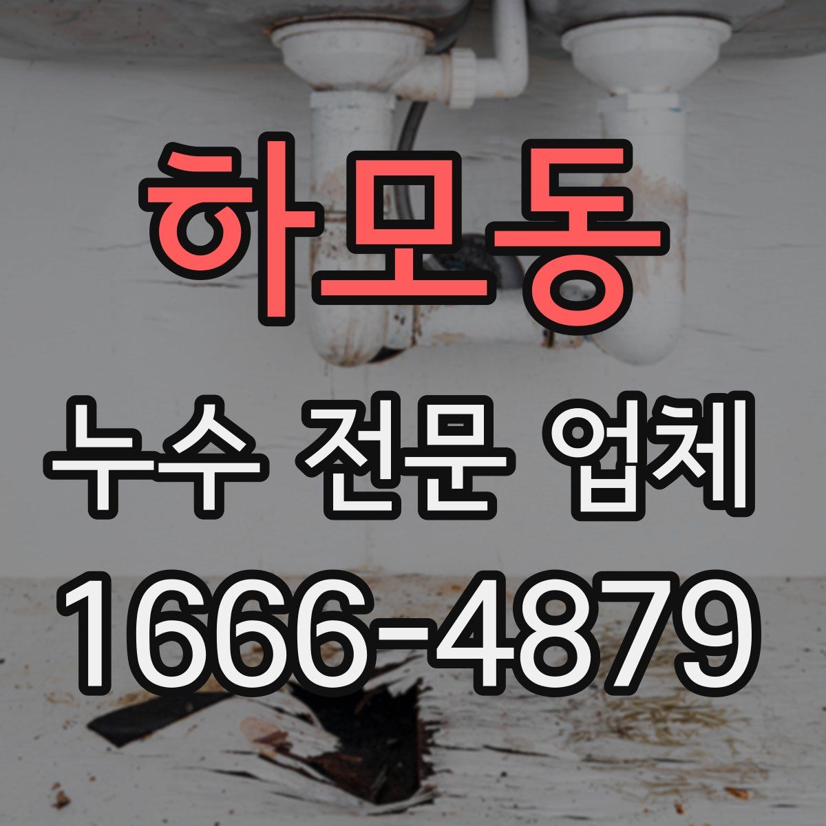 하모동 누수 전문 업체