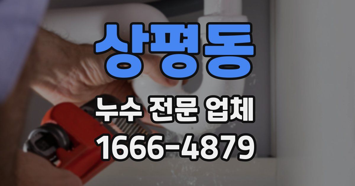 상평동 누수 전문 업체