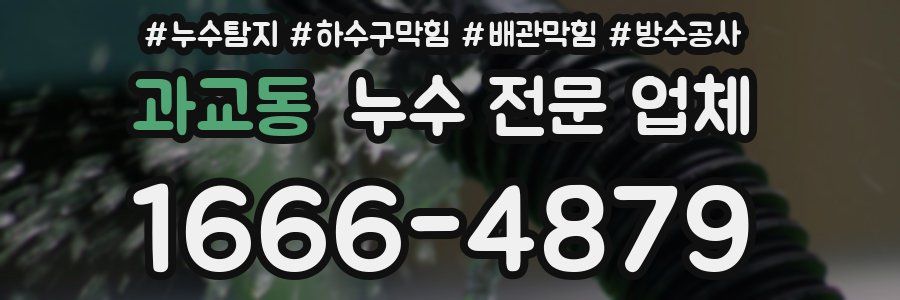 과교동 누수 전문 업체