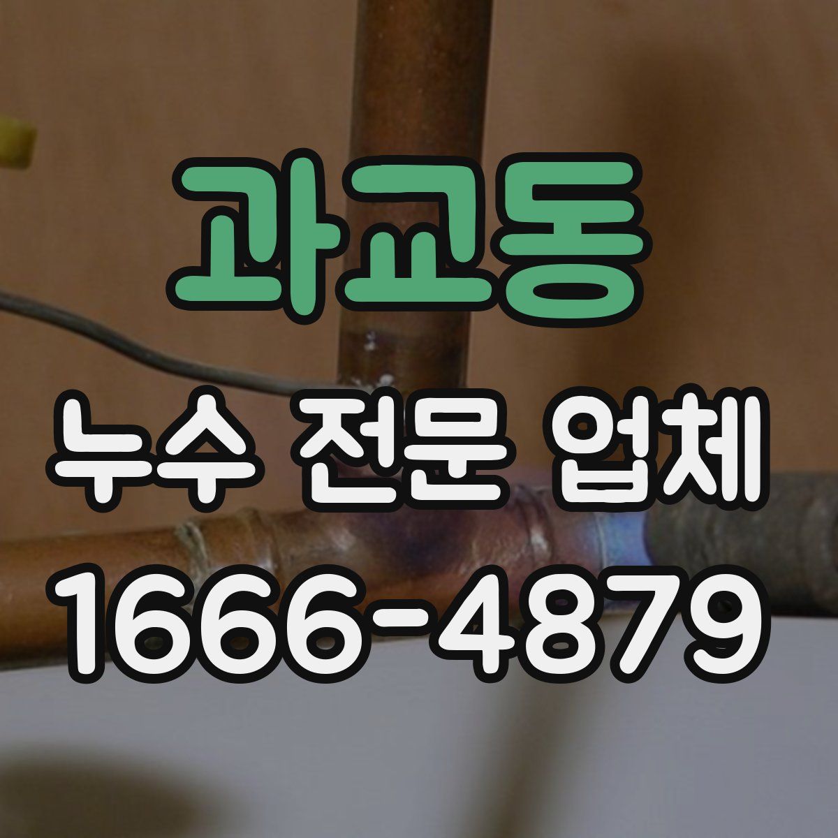 과교동 누수 전문 업체