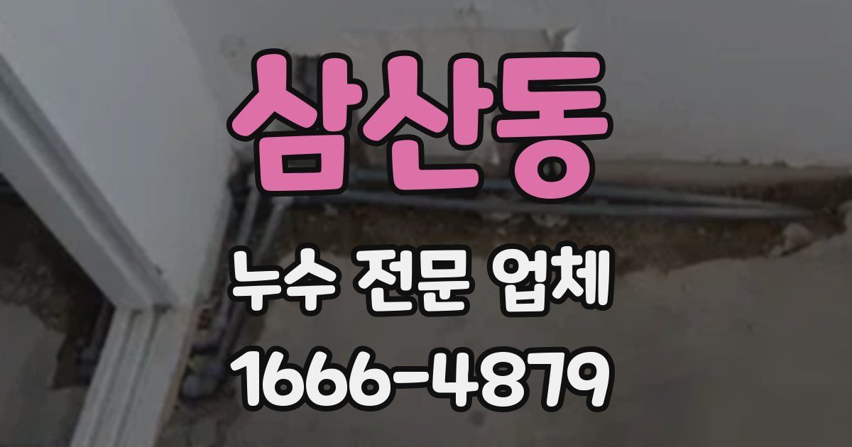 삼산동 누수 전문 업체