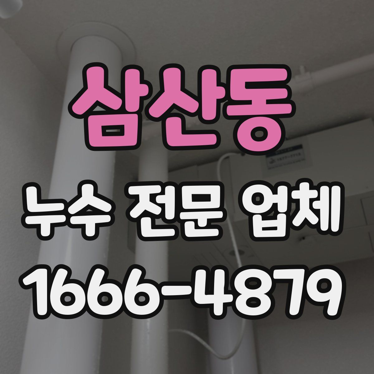 삼산동 누수 전문 업체