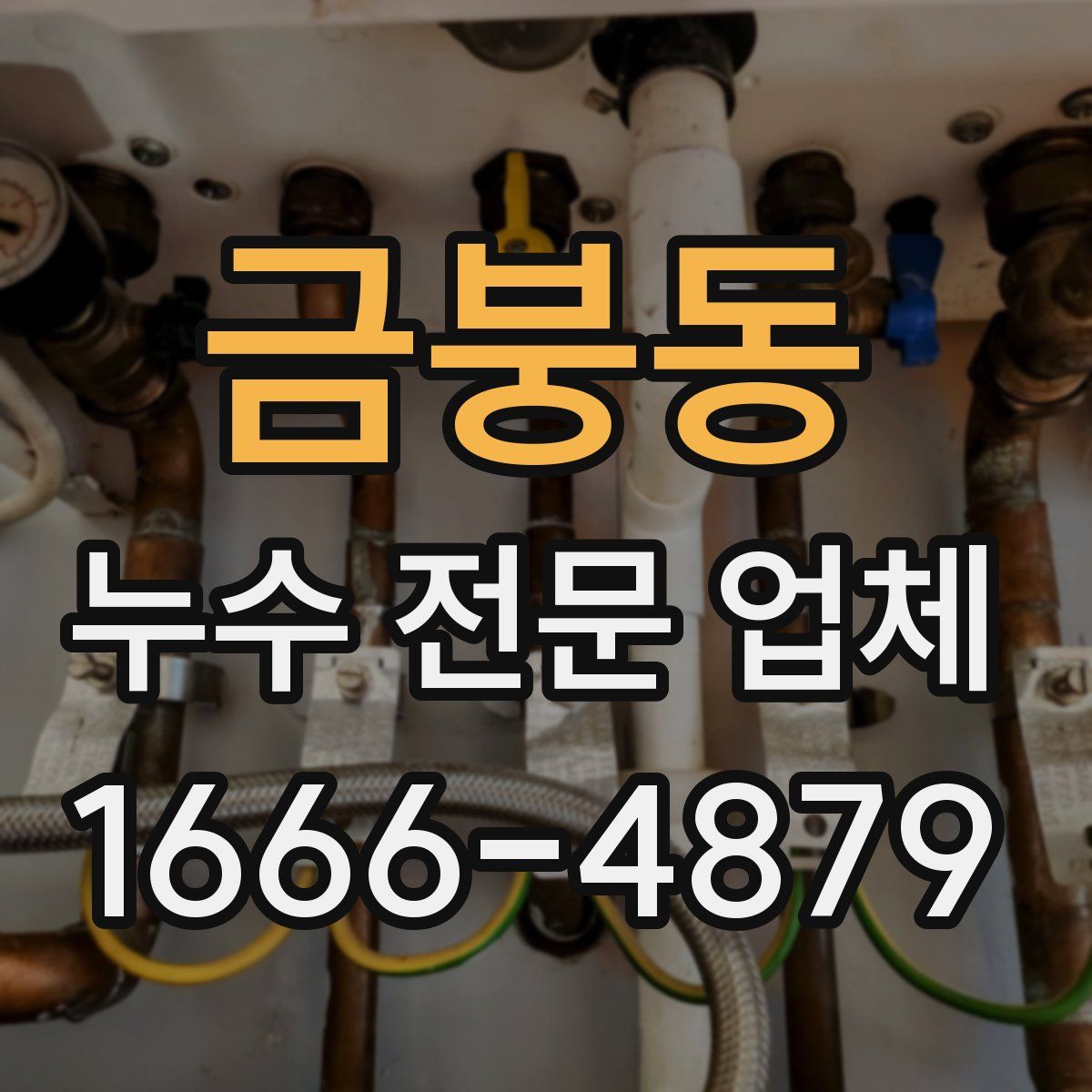 금붕동 누수 전문 업체